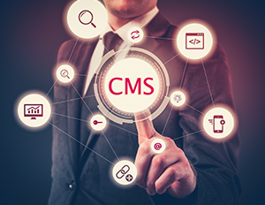 Content Management in the age of Customer Experience Management