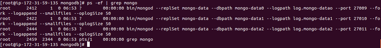 Mongo_Replica_Set_Processes_4