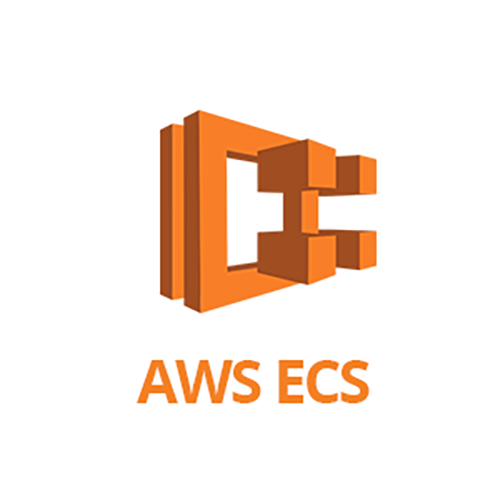 AWS ECS Agent Monitoring