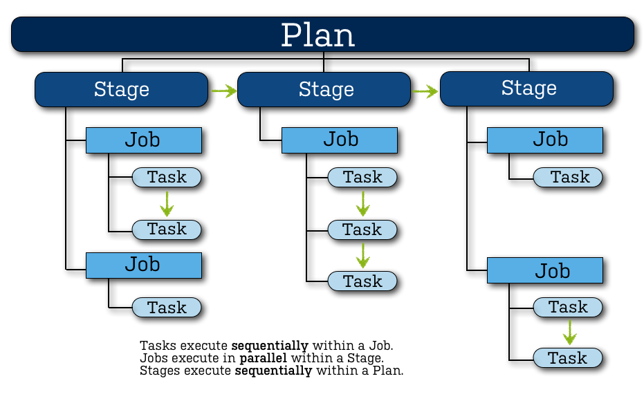 Bamboo_Plan_Anatomy