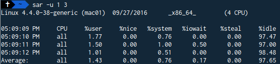 Sar CPU report