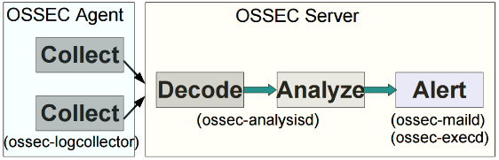 osseclog