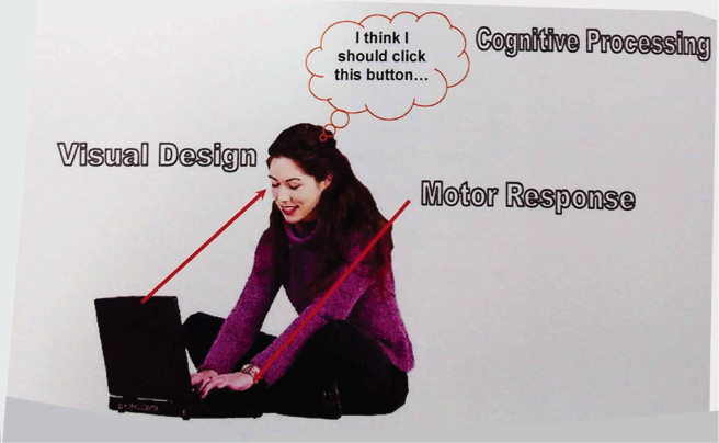 website interaction process