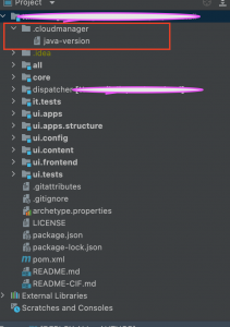 Resolving Adobe’s Cloud Manager Deployment Issue with Java Version ...