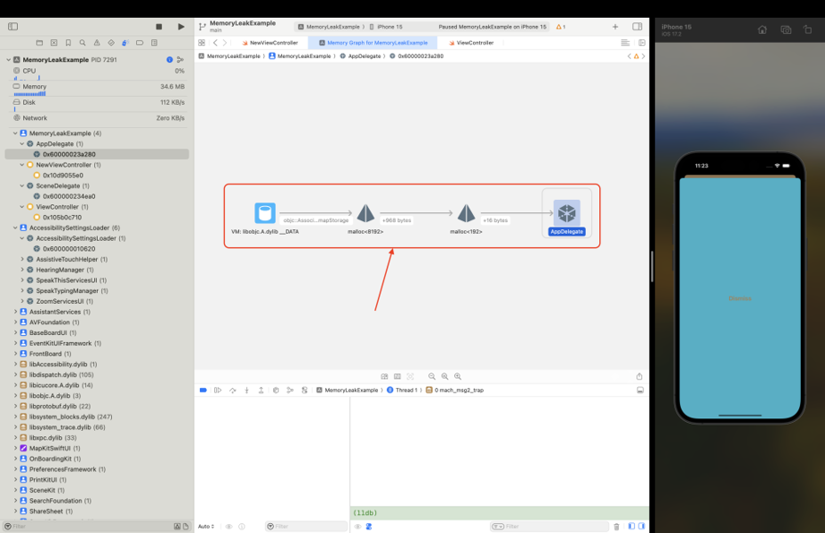 Memory Leak with Memory Graph Debugger | TO THE NEW Blog