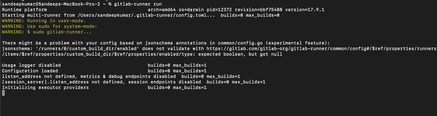 gitlab runner run