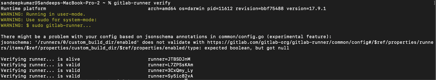 gitlab-runner verify