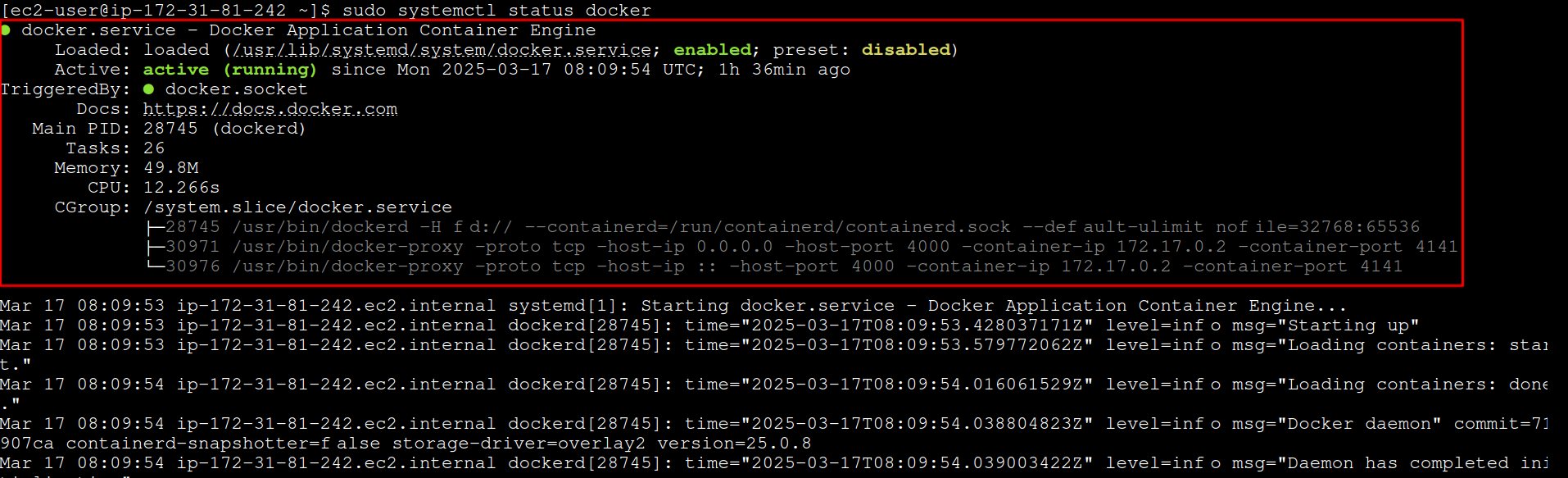 Docker Status