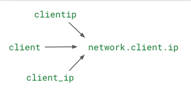 The Standard Attribute feature remaps different names for the same attribute to a standard name.