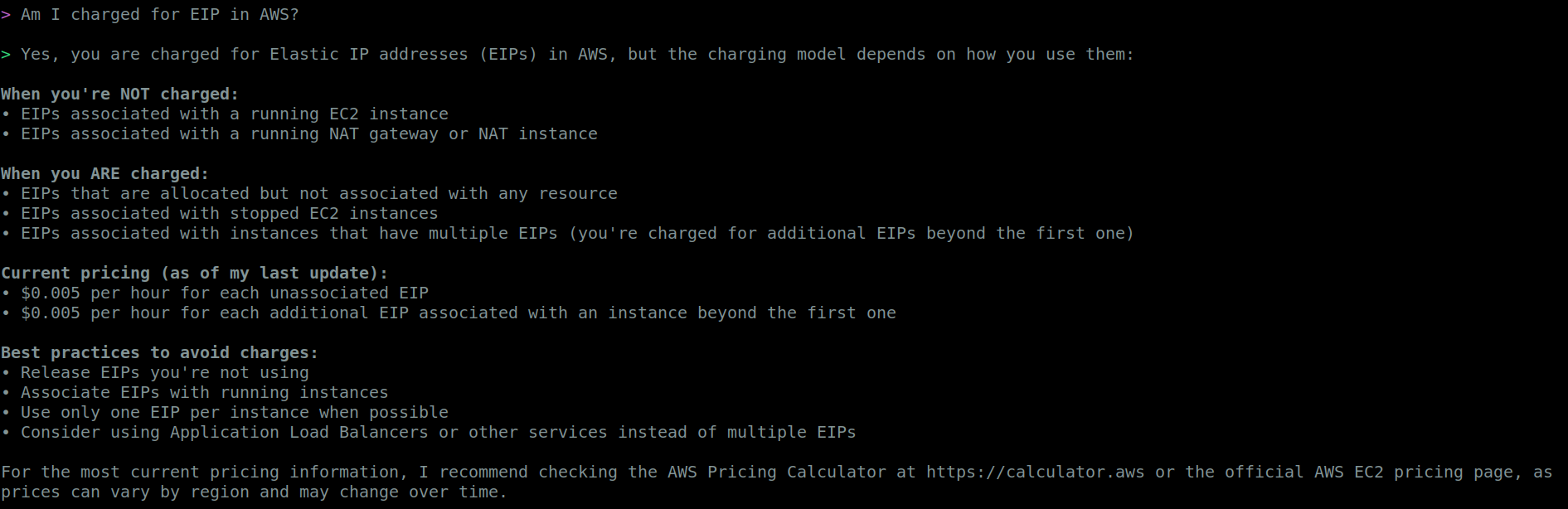 Question asked to AmazonQ on EIP charges