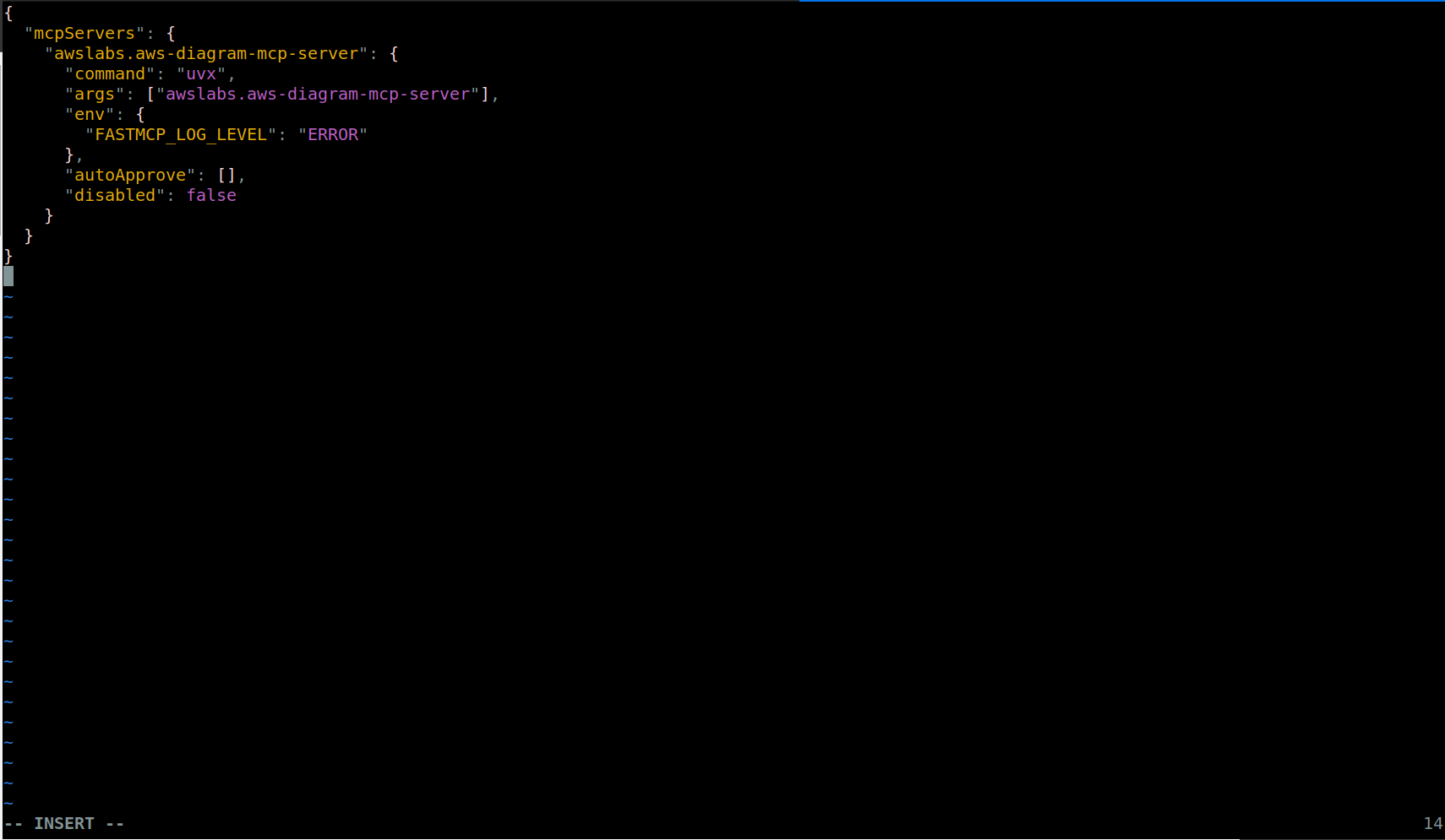 Pasting the mcp server JSON