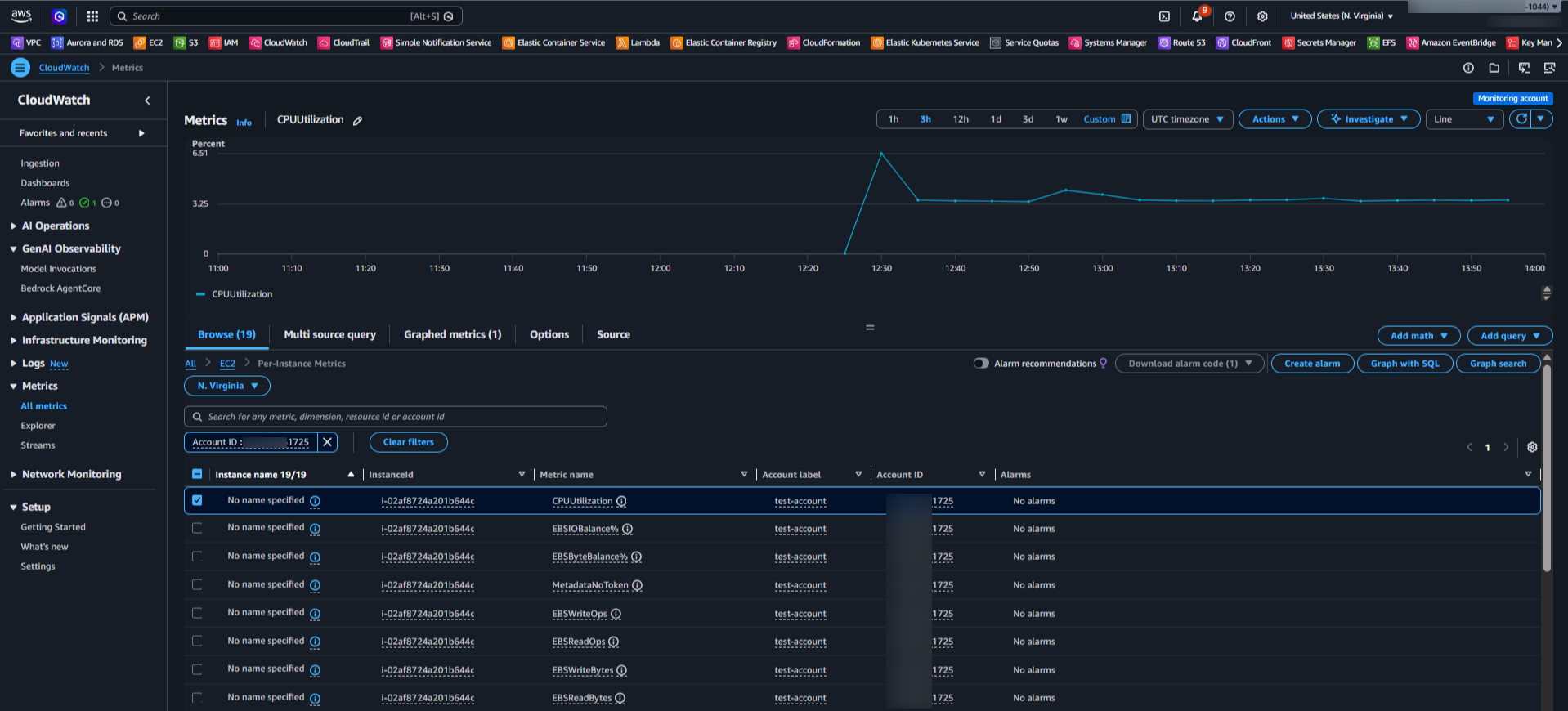 Instance Metrics in CW of Monitoring Account