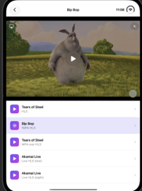 Sample app on iPhone Duo closed in portrait: player on top, stream list below
