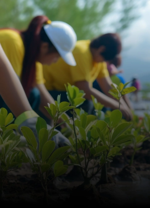 Nonprofit Organizations