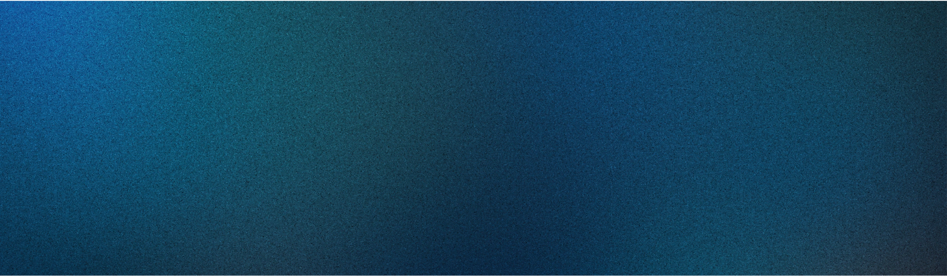 Banner for TO THE NEW case study