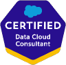 Data Cloud Consultant