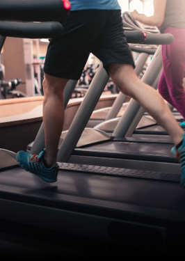 Fitness