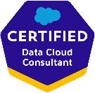 Salesforce Certified Data Cloud Consultant