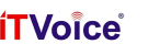 it voice